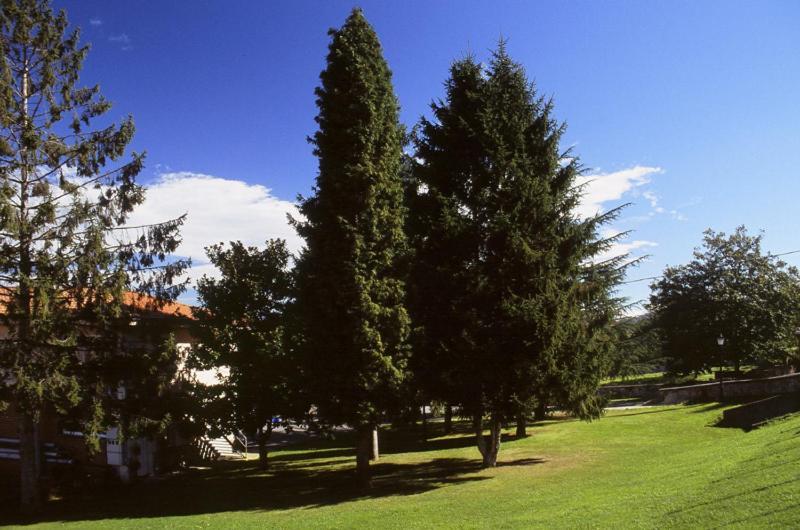 Hotel Villa De Nava Zewnętrze zdjęcie